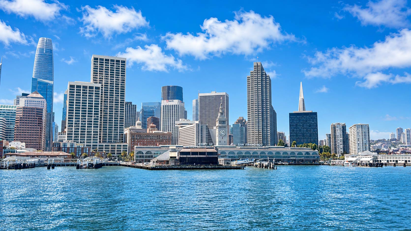 Guests enjoying a San Francisco Bay cruise with skyline views
